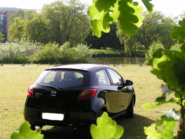 Mazda 2 advance - I skal lige have den bagfra også ;) billede 14