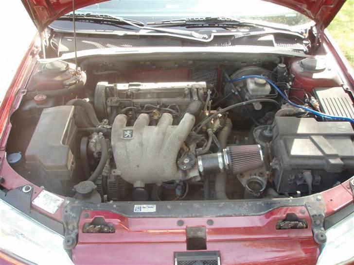 Peugeot 406 (SOLGT) - beskidt motorrum billede 16
