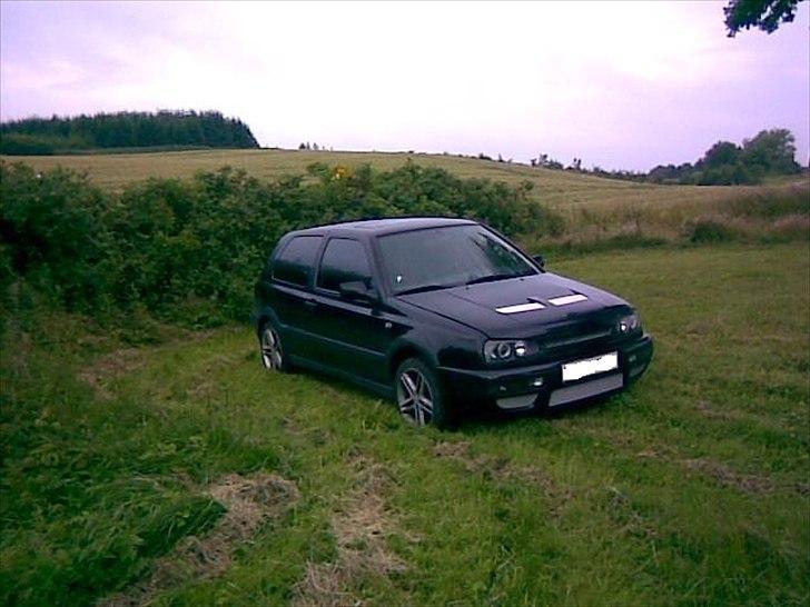 VW Golf III VR6 (solgt) - 2008: Sommerfront billede 2