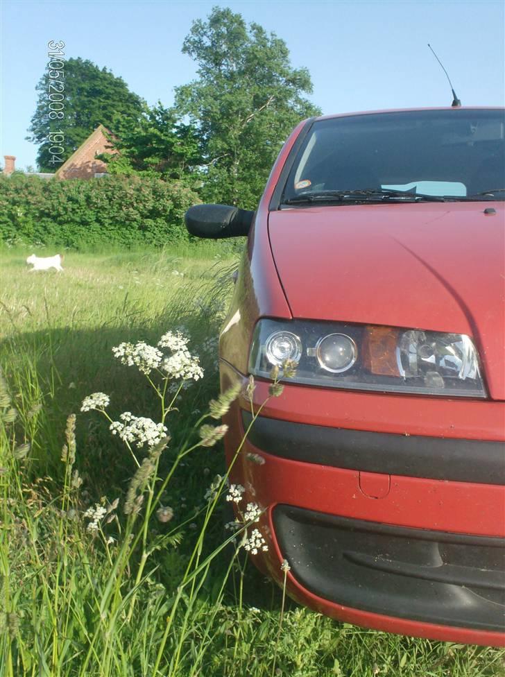 Fiat punto billede 10