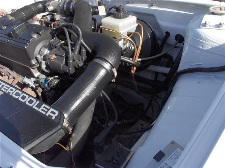 VW Polo G40 .:NU:.  Solgt billede 10