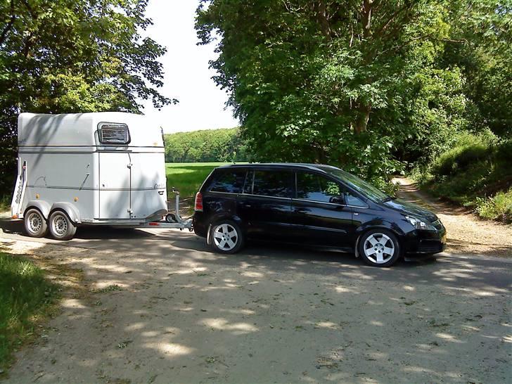Opel Zafira B CDTi (solgt) - lige en tur i skoven med hesten....  billede 16