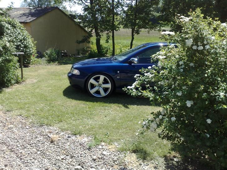 Audi A4 ( SOLGT ) billede 20