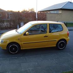 VW Polo (SOLGT)