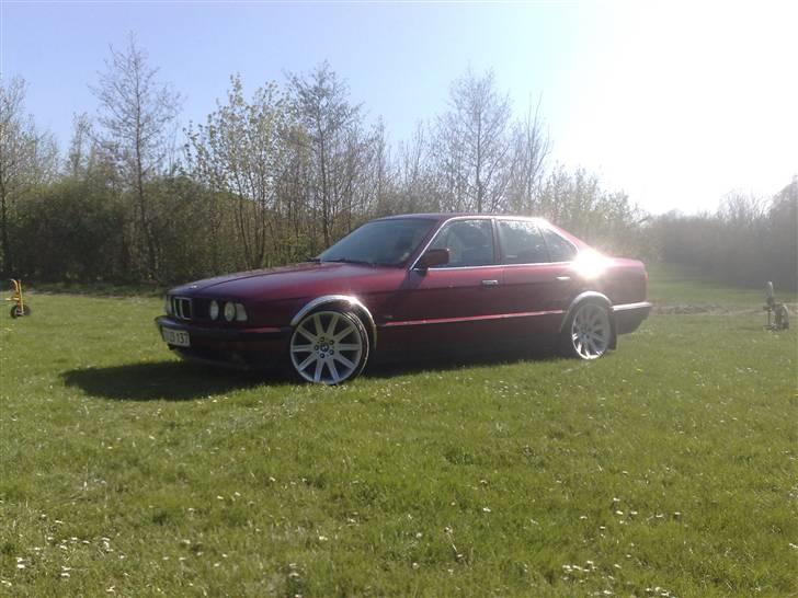 BMW 520 i 24v billede 16