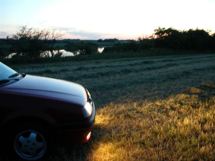 Renault 19 Cab billede 4