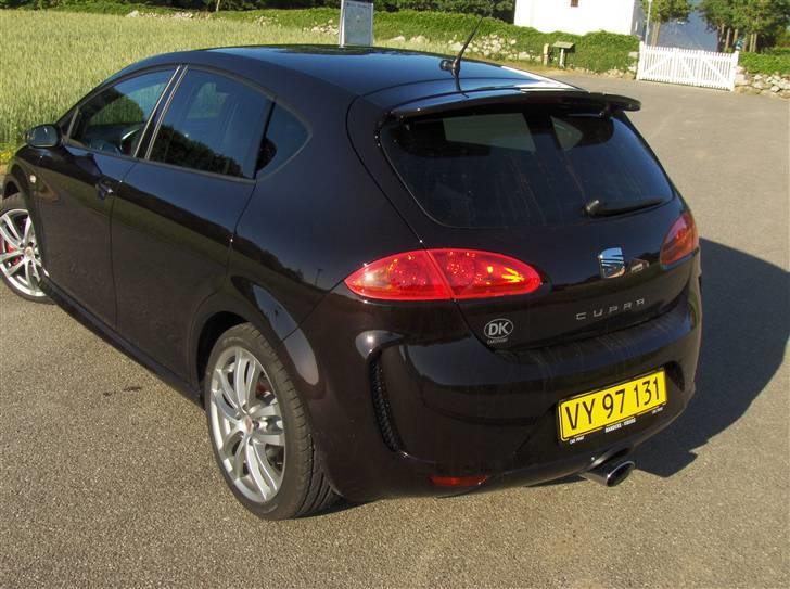 Seat Leon Cupra billede 3