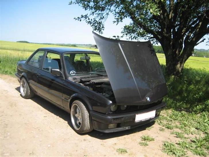 BMW                                   E30 318is billede 13