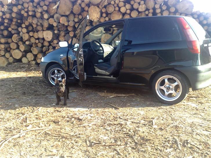 Fiat Punto SX billede 11