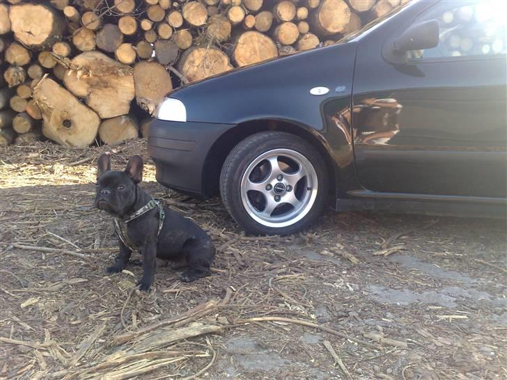 Fiat Punto SX billede 13