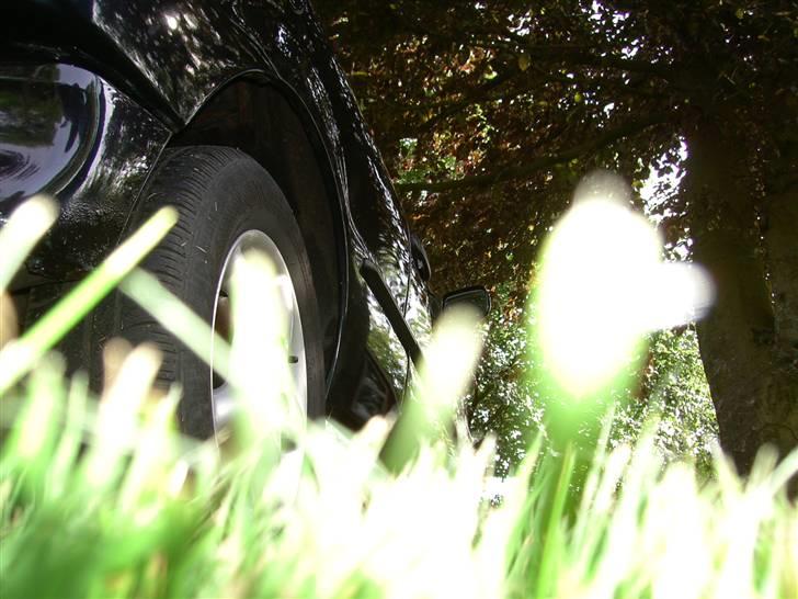 VW Polo 6n billede 1