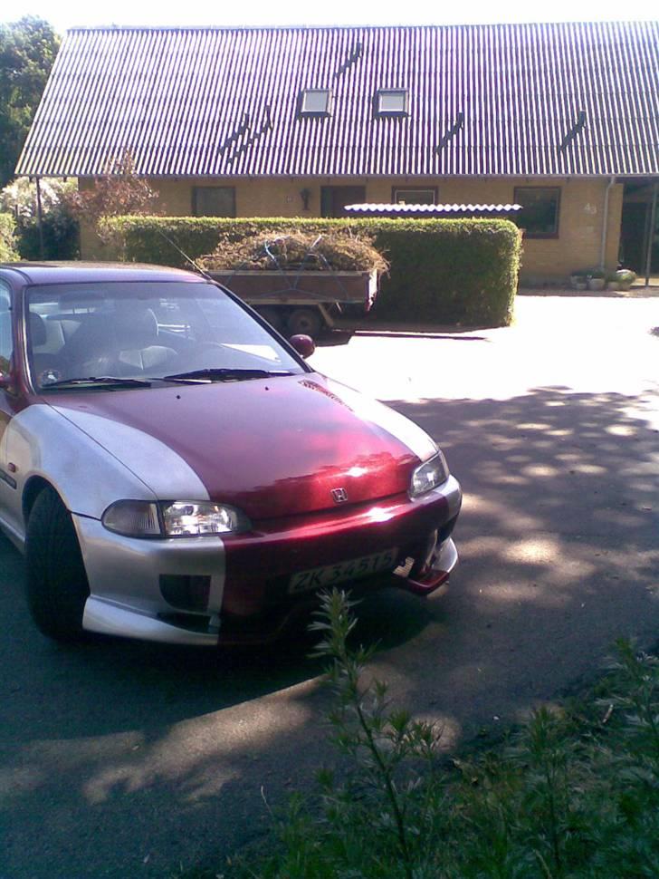 Honda Civic billede 1