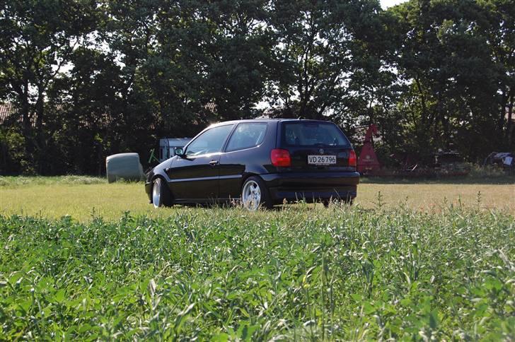 VW polo 6N SOLGT billede 3