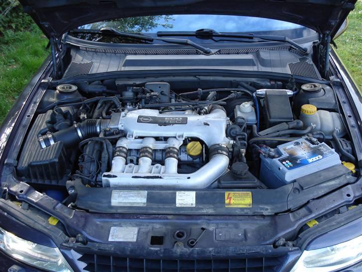 Opel vectra b 3,2 V6 billede 6