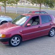 VW Polo 6N