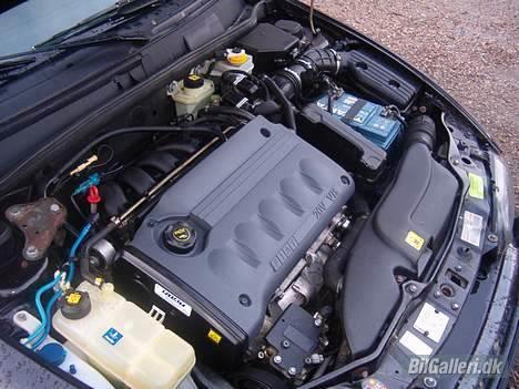 Fiat Marea HLX Weekend billede 7