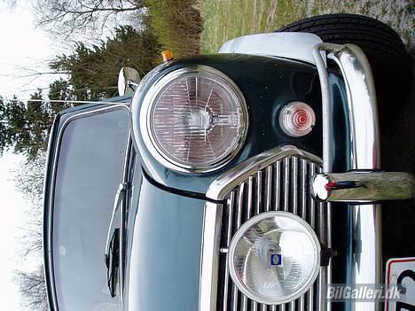 Mini Mascot Special *SOLGT* billede 9