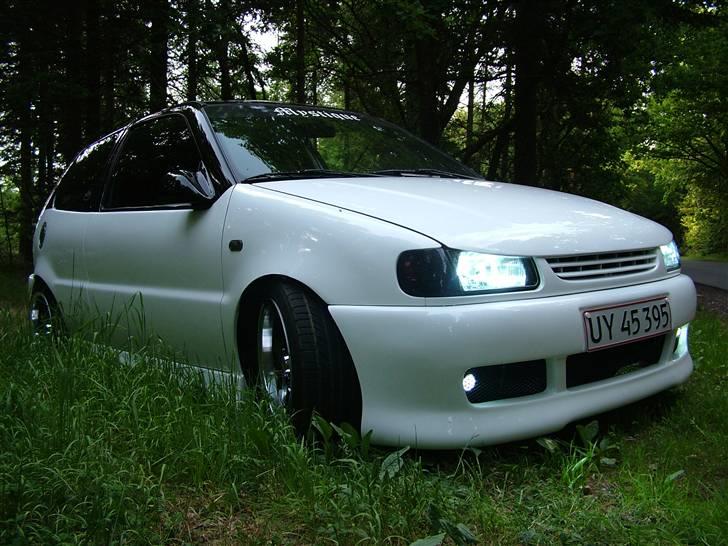 VW Polo 6N  billede 1