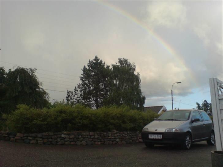 Fiat Punto  billede 8