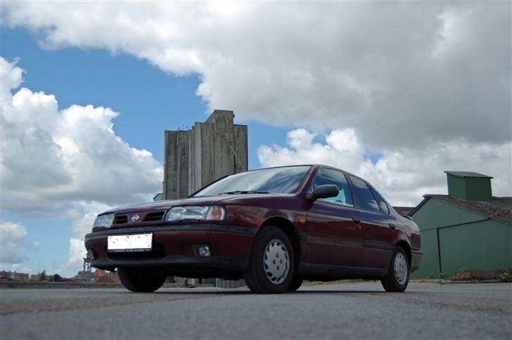 Nissan primera R.I.P  - **foto : victoria** billede 6