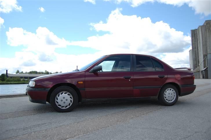 Nissan primera R.I.P  - **foto : victoria** billede 7