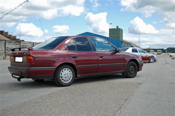 Nissan primera R.I.P  - **foto : victoria** billede 8