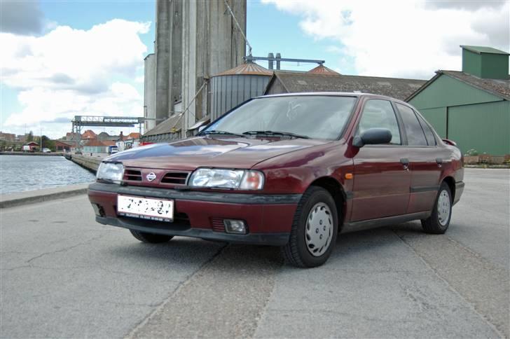 Nissan primera R.I.P  - **foto : victoria** billede 9