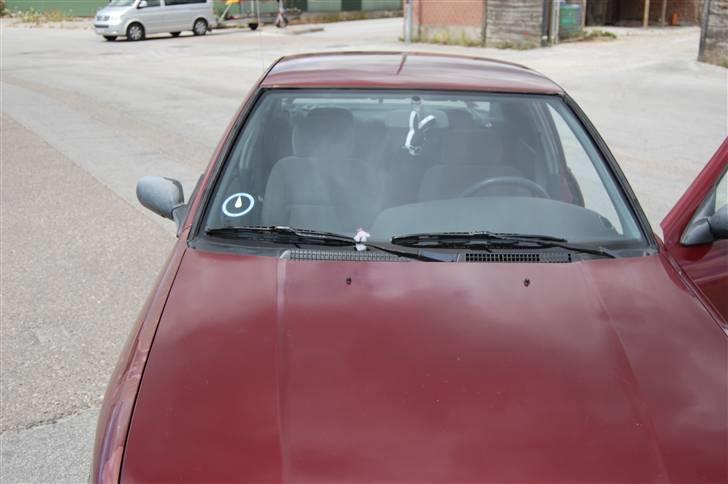 Nissan primera R.I.P  - **foto : victoria** billede 13