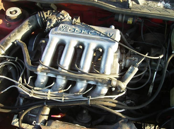 VW Golf 1 GTI 16v SOL.... billede 16