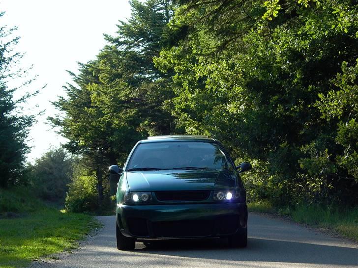 VW polo ( solgt og nu død ) billede 2