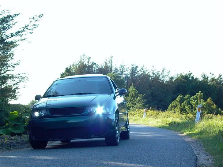 VW polo ( solgt og nu død ) billede 7