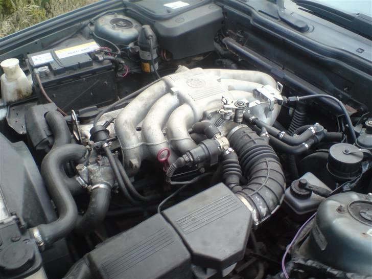 BMW E34 520i billede 8