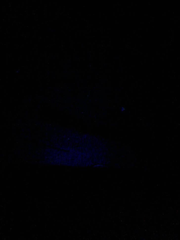 Mitsubishi  colt R.I.P - billede fra kabinen billede 11