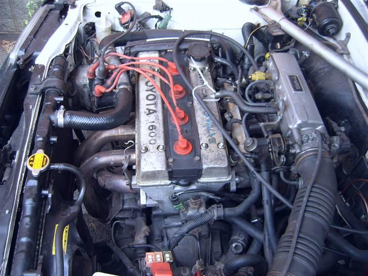 Toyota Corolla gt billede 15