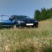 Renault Megane Privelige st.car 