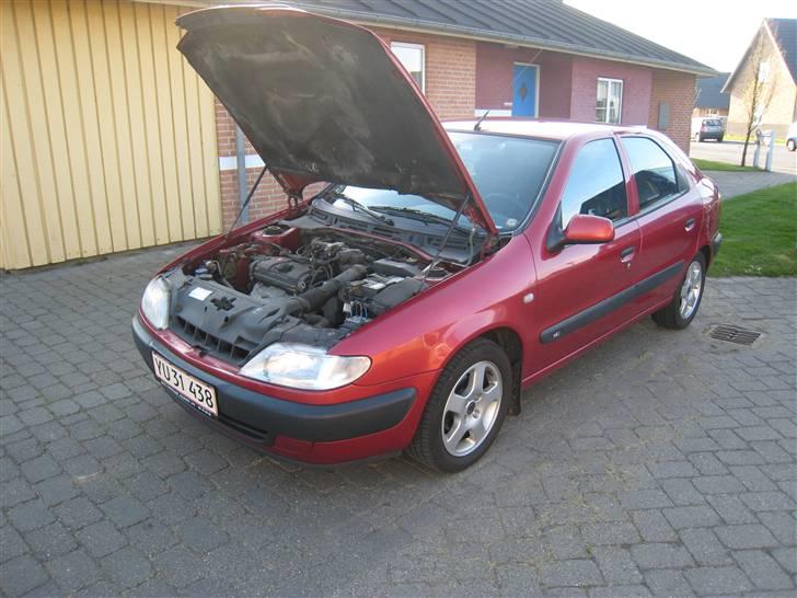 Citroën Xsara billede 1