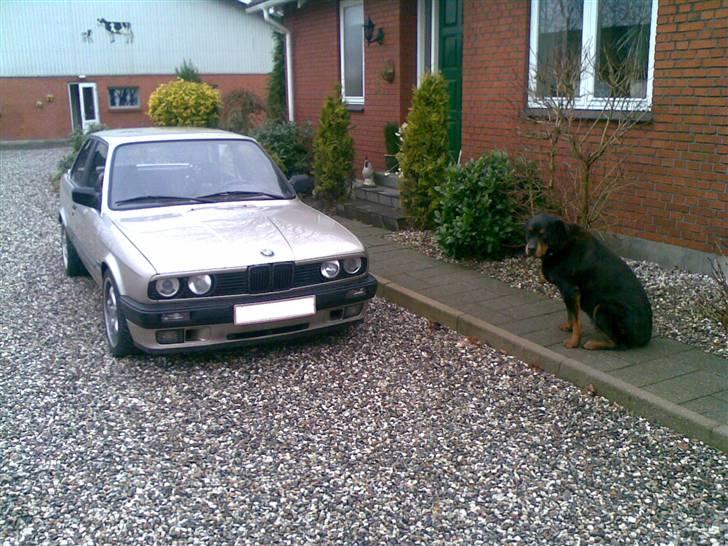 BMW E30 320i (hverdagsbil)DØD billede 14