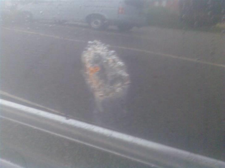 Honda Civic (Byttet væk) billede 16