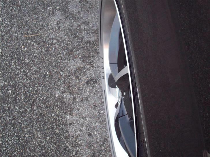 Seat Altea billede 2