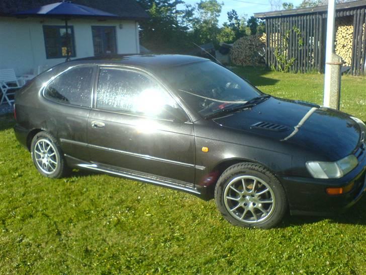 Toyota corolla xli billede 1