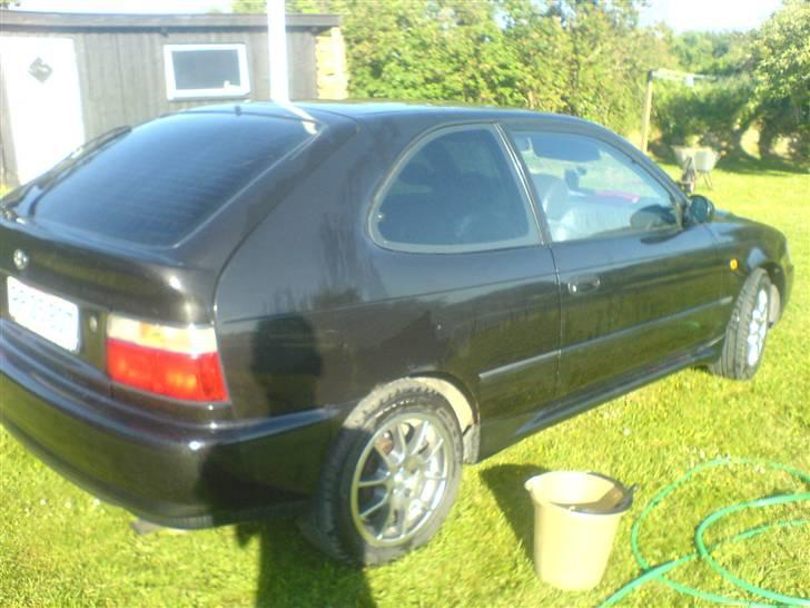 Toyota corolla xli billede 3