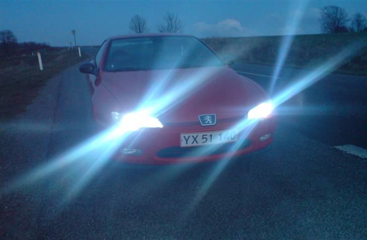 Peugeot 406 3.0 V6 Coupé - xenon i skumringen billede 2