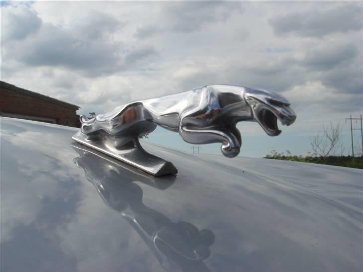 Jaguar XJ 6 COUPE billede 18