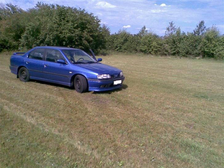 Nissan primera billede 9