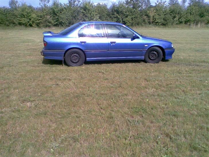 Nissan primera billede 10