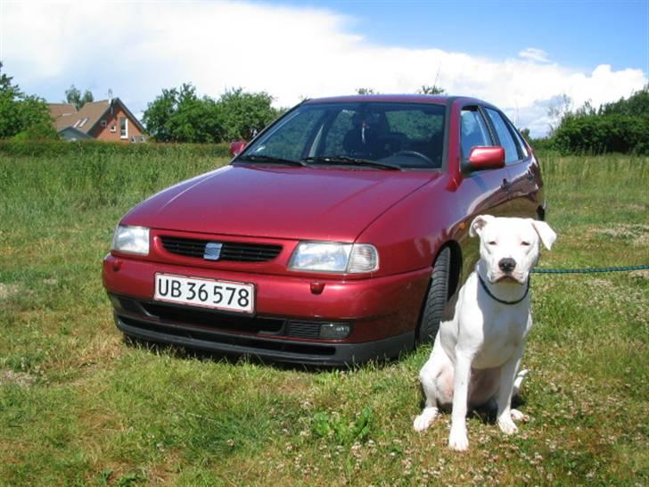 Seat Cordoba 1.6 SXE billede 6