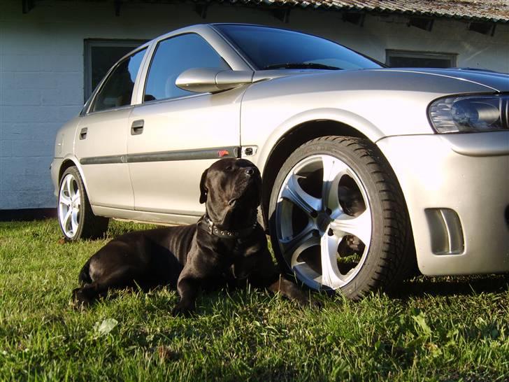 Opel vectra B - Nyt billede 20