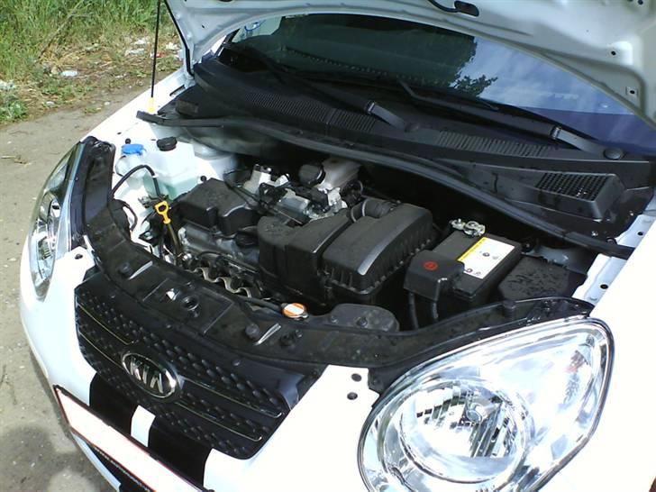 Kia Picanto billede 3