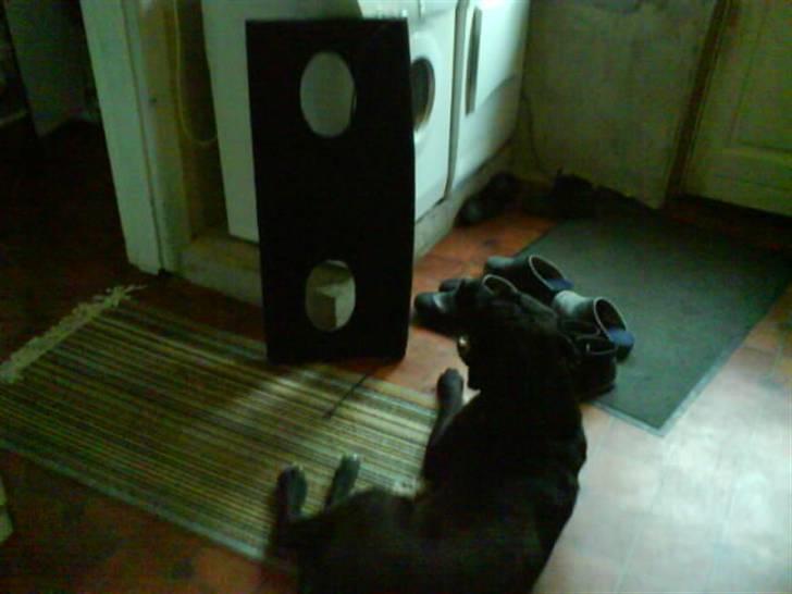 Seat ibiza glx SOLGT billede 9