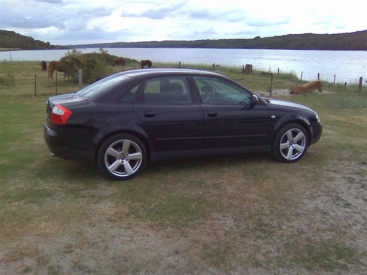 Audi A4 1,8 T (SOLGT) - Bramslev Bakker 2008 billede 5